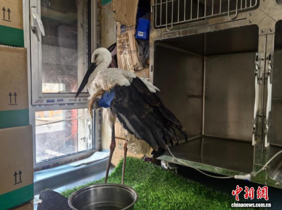 �܂��Ė|�����X���ڽ����ί�����ʯ���� �z