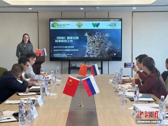 ���_˹���ҷ������o�|��������������� �z